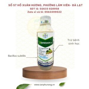 Serenade SC Bayer Chế phẩm trừ bệnh Sinh học Serenade SC