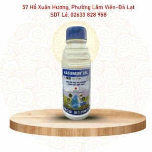 Thuốc trừ bệnh Kasumin 2SL