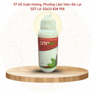 Phân bón lá CYTOSICA 500ml