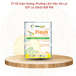Thuốc trừ đạo ôn Flash 75WP
