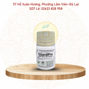 Guard Pro loang trải
