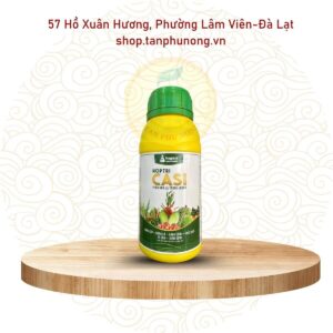 Casi Hợp Trí CaSi | Canxi Silic Giúp Cứng Cây, Đứng Lá, Chắc Quả